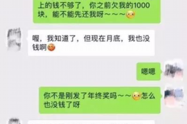 丹阳丹阳的要账公司在催收过程中的策略和技巧有哪些？